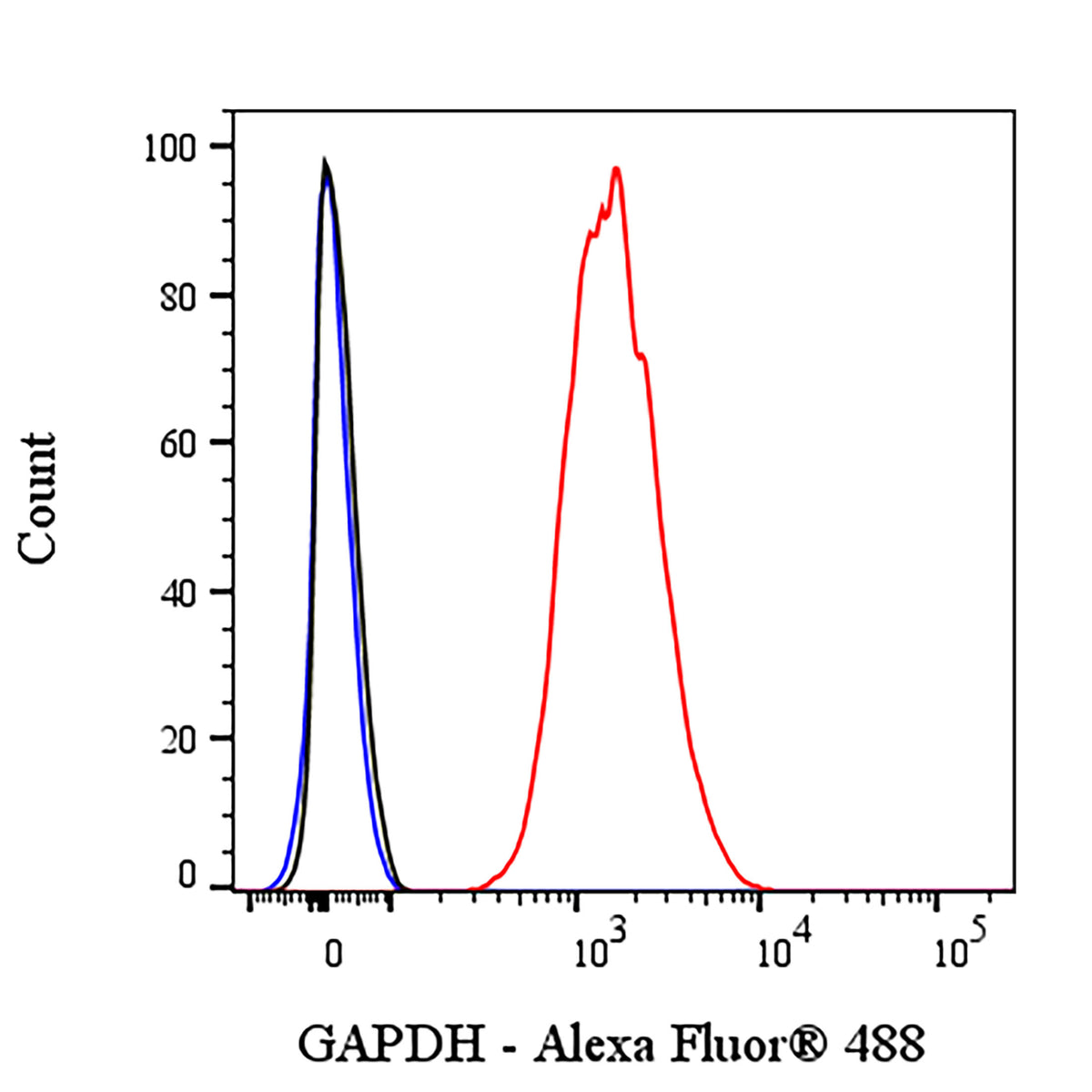 GAPDH Recombinant Rabbit mAb (Alexa Fluor® 488 Conjugate) (S-240-147)