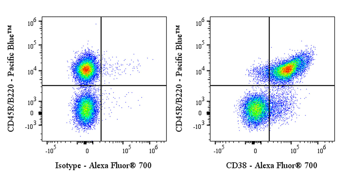 Alexa Fluor® 700 Rat Anti-Mouse CD38 Antibody (NIMR5)