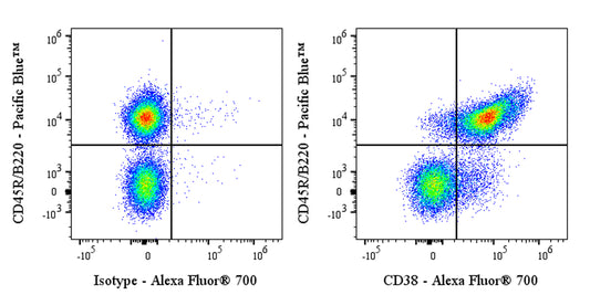 Alexa Fluor® 700 Rat Anti-Mouse CD38 Antibody (NIMR5)