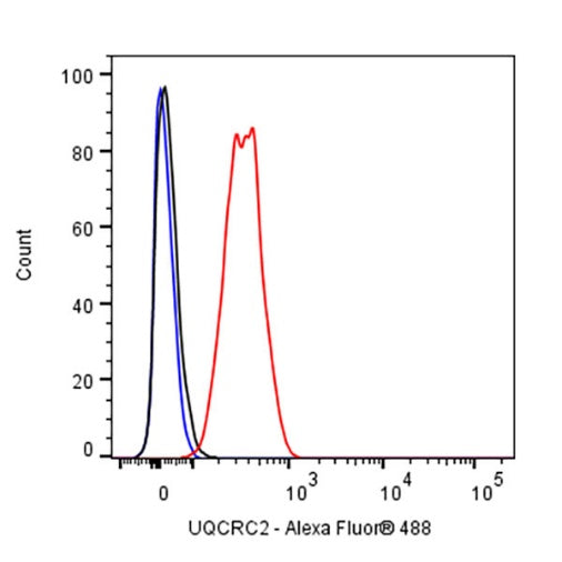 UQCRC2 Recombinant Rabbit mAb (S-2374-127)