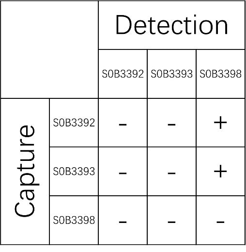 Amyloid beta 1-40 Recombinant Rabbit mAb (SDT-1548-54)