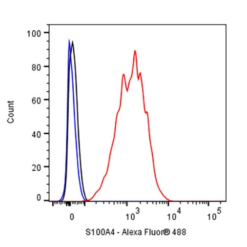 S100A4 Recombinant Rabbit mAb (S-1655-26)