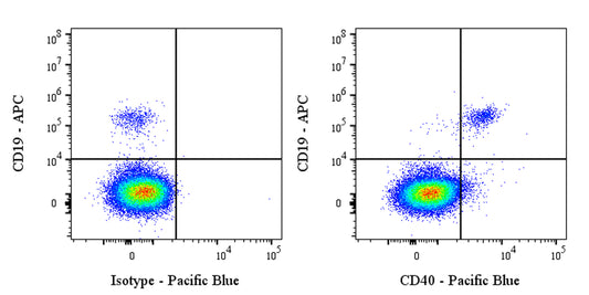 Pacific Blue Human Anti-Human CD40 Antibody (ABBV-323)