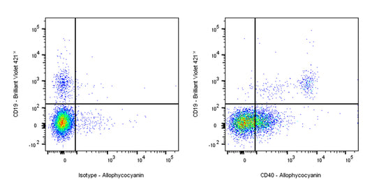 APC Mouse Anti-Human CD40 Antibody (HI40a)
