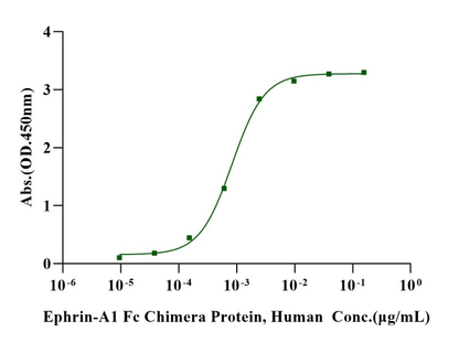 Ephrin-A1 Fc Chimera Protein, Human
