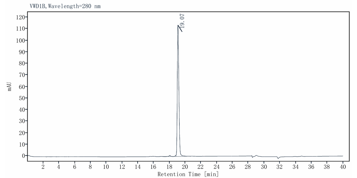 Taq DNA Polymerase