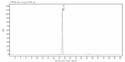 Taq DNA Polymerase
