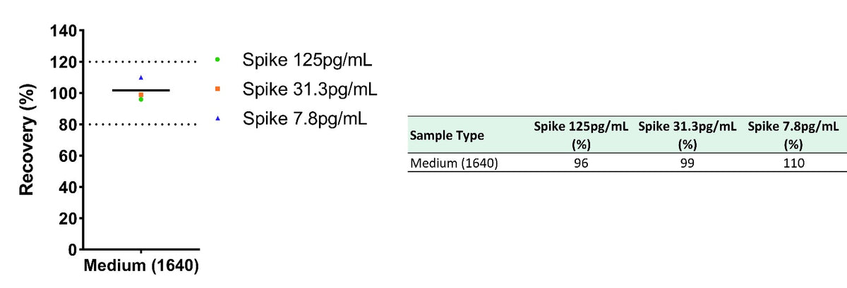 Mouse CCL22/MDC Culture Media OneStep ELISA Kit