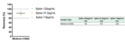 Mouse CCL22/MDC Culture Media OneStep ELISA Kit