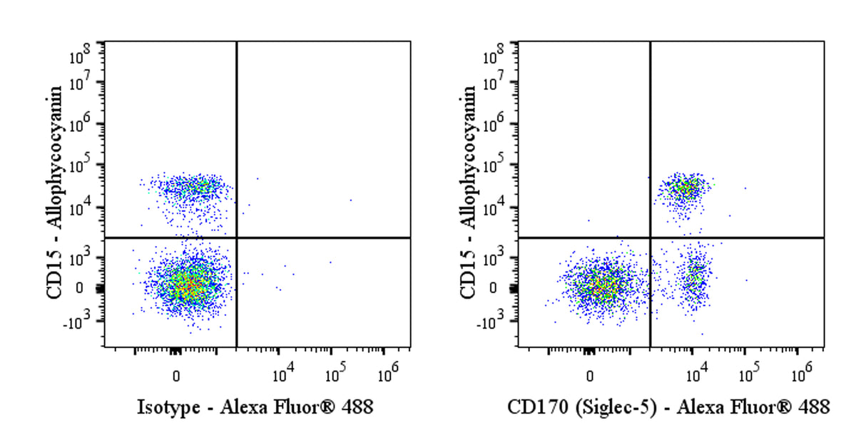 Mouse Anti-Human CD170 (Siglec-5) Antibody (S-4097)