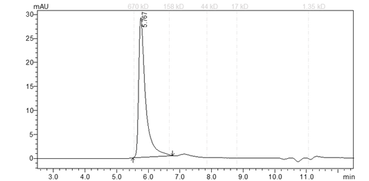 ALK4 Protein