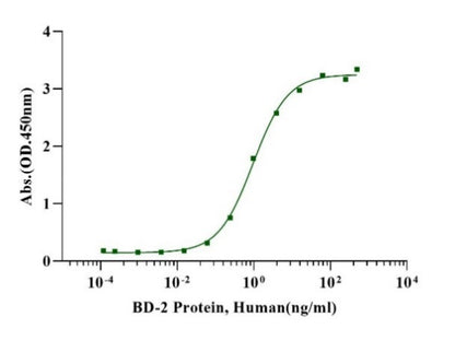 BD-2 Protein, Human