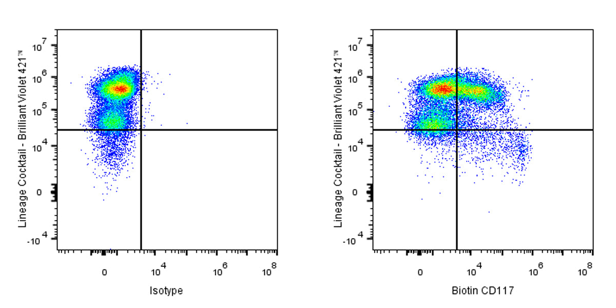 Biotin Rat Anti-Mouse CD117 Antibody (2B8)