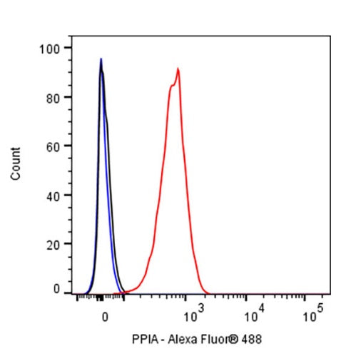 PPIA Recombinant Rabbit mAb (S-2406-28)