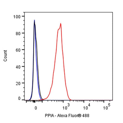 PPIA Recombinant Rabbit mAb (S-2406-28)