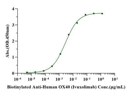 OX40/TNFRSF4/CD134 Fc Chimera Protein, Human
