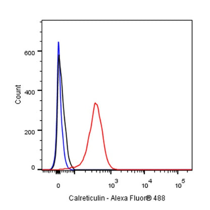 Calreticulin Recombinant Rabbit mAb (S-R353)