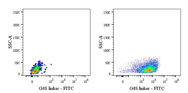 G4S Linker Recombinant Rabbit mAb (FITC Conjugate) (S-711-23)