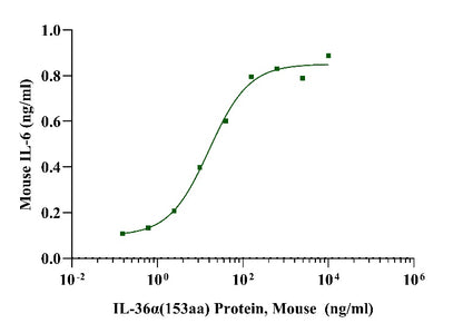 IL-36α Protein, Mouse