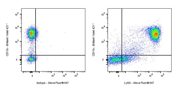 Ly6G Recombinant Rabbit mAb (S-2495-6)