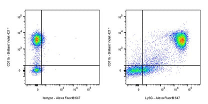 Ly6G Recombinant Rabbit mAb (S-2495-6)