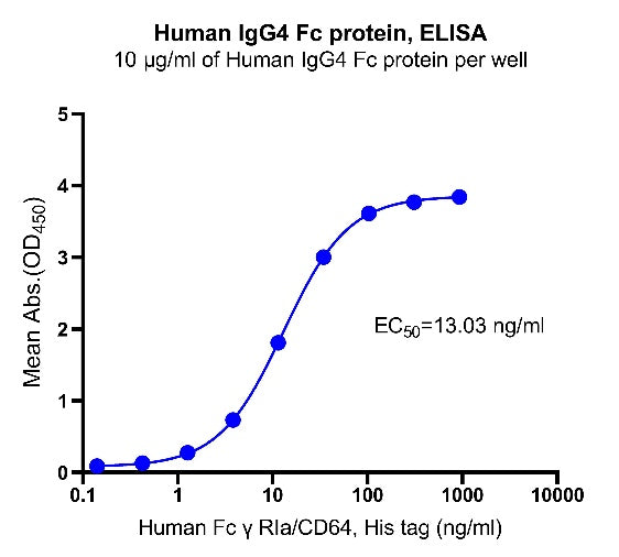 Human IgG4 Fc protein