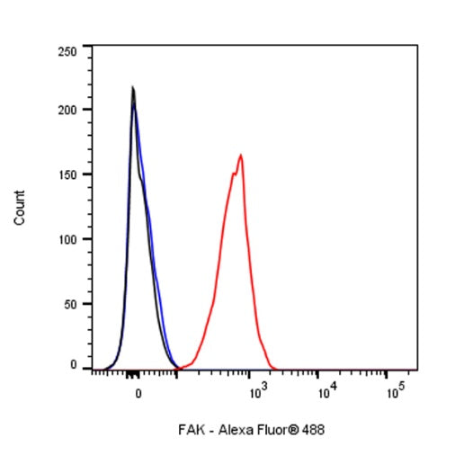 FAK Recombinant Rabbit mAb (S-1180-10)