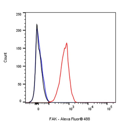 FAK Recombinant Rabbit mAb (S-1180-10)