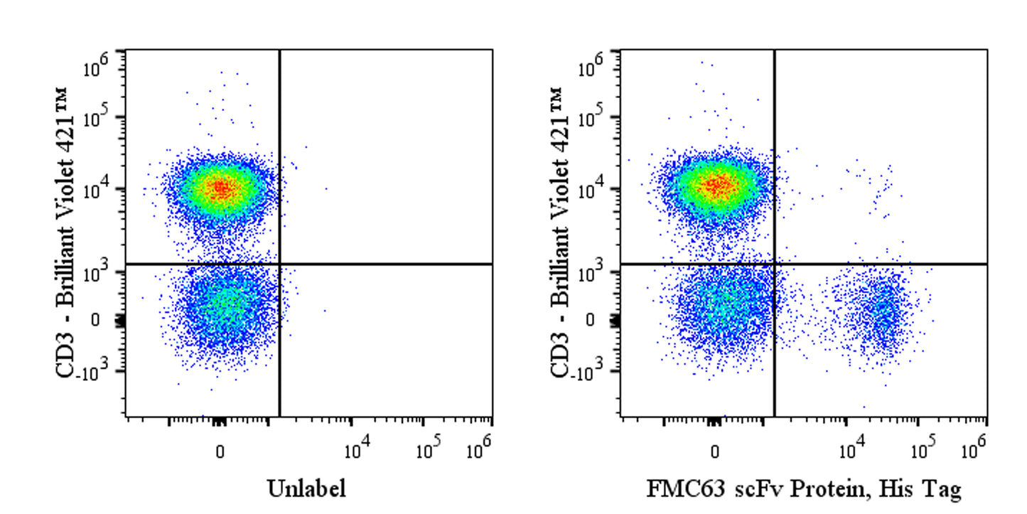FMC63 scFv Protein, His Tag