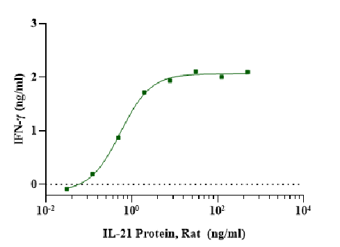 IL-21 Protein, Rat