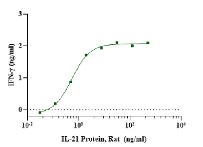 IL-21 Protein, Rat