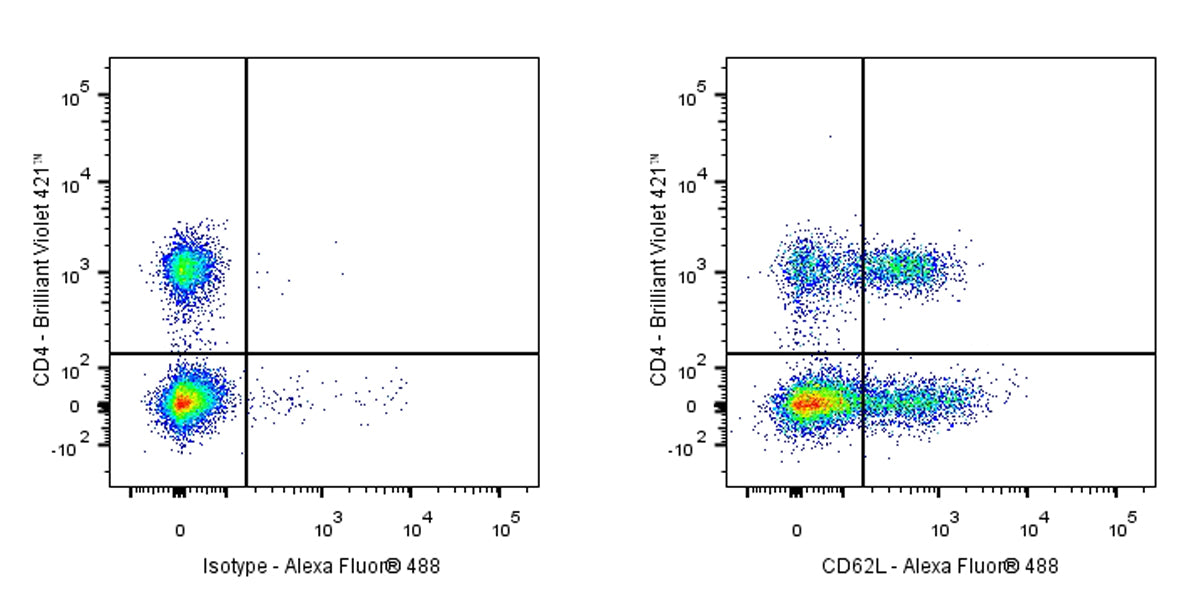 Rat Anti-Mouse CD62L (L-selectin) Antibody (MEL-14)