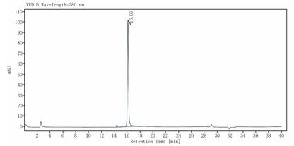 HGF Protein, Human