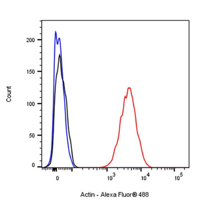 Pan Actin Recombinant Rabbit mAb (S-1365-34)