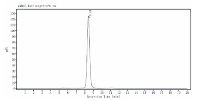 MICA His Tag Protein, Human