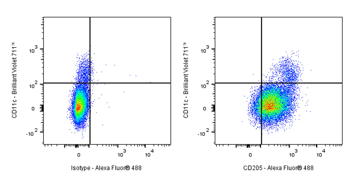 Mouse Anti-Human CD205 Antibody (S-3023)