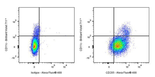 Mouse Anti-Human CD205 Antibody (S-3023)