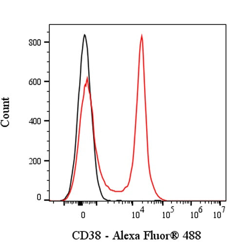 Invivo anti-Mouse CD38 Recombinant mAb