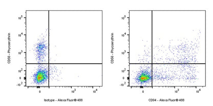 CD94 Recombinant Rabbit mAb (S-2616-17)