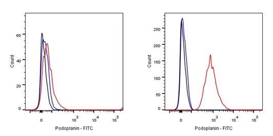 FITC Syrian hamster Anti-Mouse Podoplanin Antibody (8.1.1)