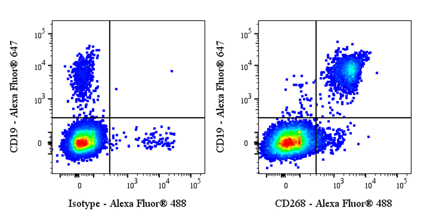 Alexa Fluor® 488 Mouse Anti-Human CD268 (BAFF Receptor) Antibody (11C1)