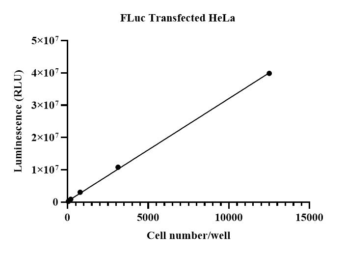 UA-Glo® Bio-luc Luciferase Assay System