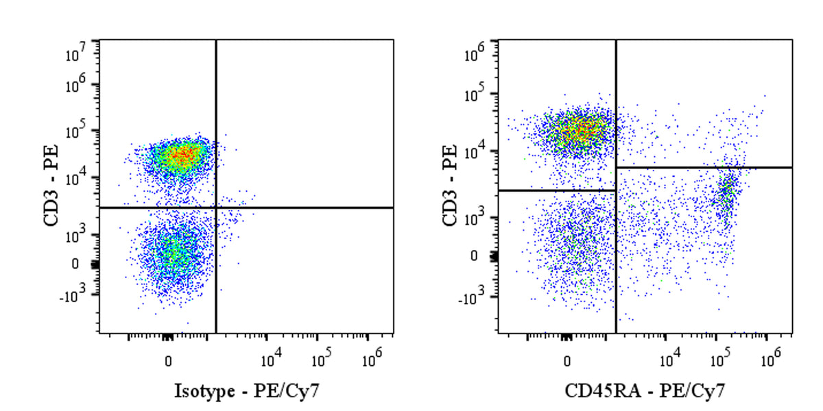 PE-Cy7 Mouse Anti-Rat CD45RA Antibody (OX-33)