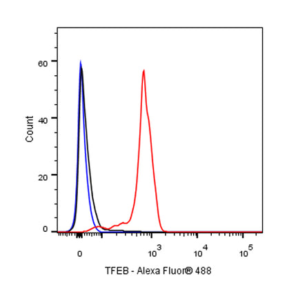 TFEB Recombinant Rabbit mAb (S-R296)