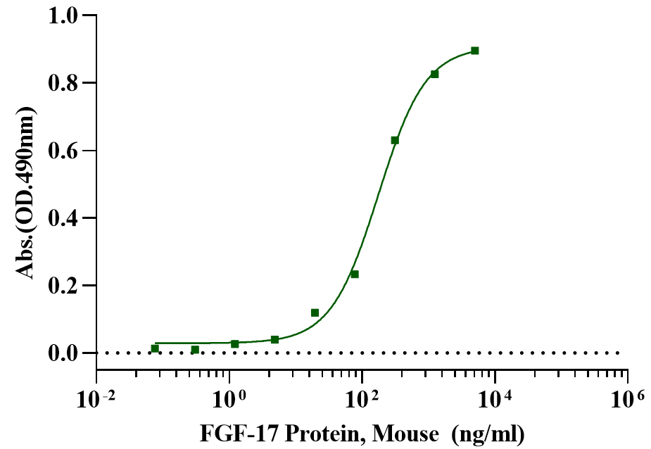 FGF-17 Protein, Mouse