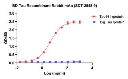 BD-Tau Recombinant Rabbit mAb (SDT-2848-9)