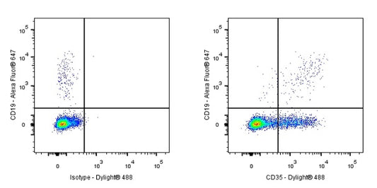 CD35 Recombinant Rabbit mAb (S-1294-26)