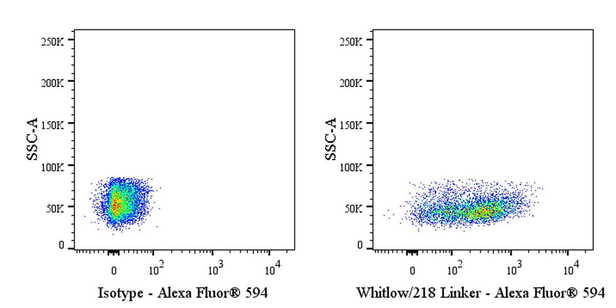 Whitlow/218 Linker Recombinant Rabbit mAb (Alexa Fluor® 594 conjugate) (S-712-10)