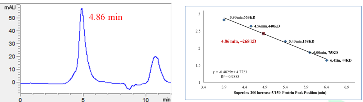 PIK3R3 His&GST Tag Protein, Human