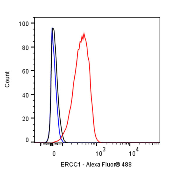ERCC1 Recombinant Rabbit mAb (SDT-2458-29)